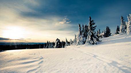 Serene Winter Landscape with Snowy Trees wallpaper