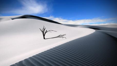 White desert wallpaper