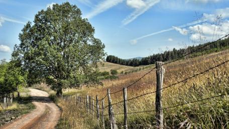 Scenic Countryside Pathway Through Nature's Beauty wallpaper