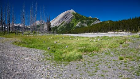Serene Wilderness Landscape with Majestic Mountains wallpaper