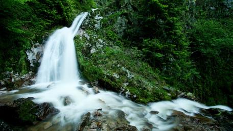 Serene Waterfall in Lush Greenery wallpaper