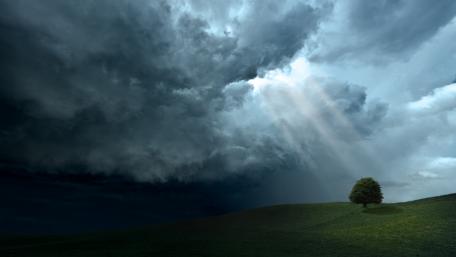 Lonely Tree Under Stormy Skies wallpaper