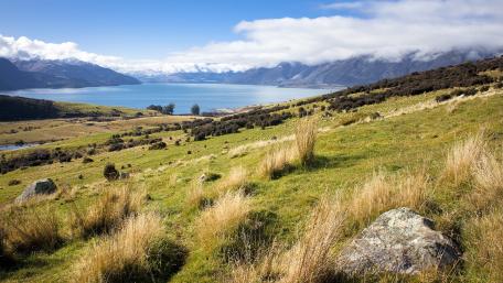 Serene Lakeside Landscape with Rolling Hills and Grassland wallpaper
