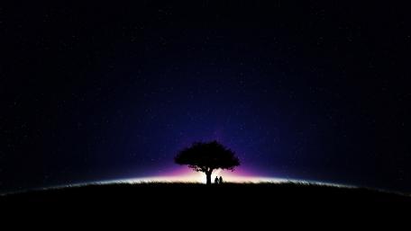 Whispered Dreams Beneath the Stars wallpaper