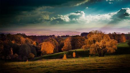 Autumn Serenity in a Colorful Grove wallpaper