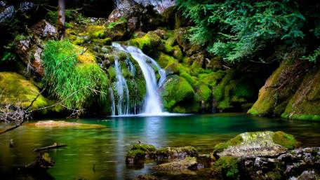 Tranquil Cascade in Lush Wilderness wallpaper