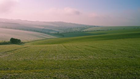 Lush Green Pasture Landscape wallpaper