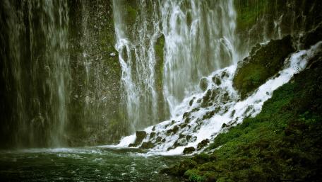 Mossy Oasis by the Waterfall wallpaper