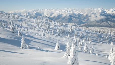 Snowy mountainside wallpaper