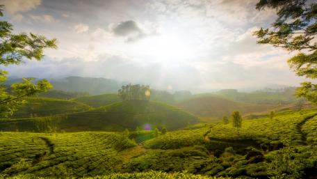 Munnar wallpaper