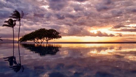 Serene Tropical Dusk Reflection wallpaper