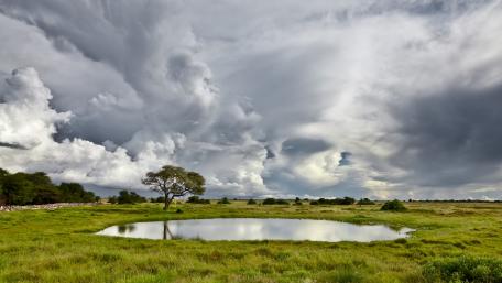 Little pond in a green field wallpaper