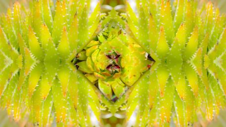 Vibrant Green Symmetry in Abstract Nature Art wallpaper