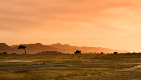 Golden Horizon Over the Savanna Landscape wallpaper