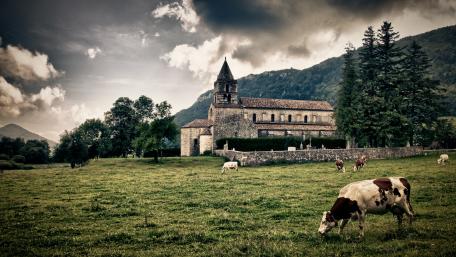 Serene Pastoral Scene with Cows and Church Landscape wallpaper