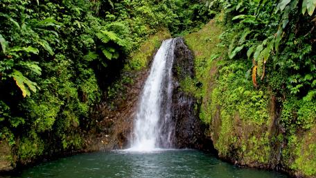 Serene Waterfall Amidst Lush Greenery wallpaper