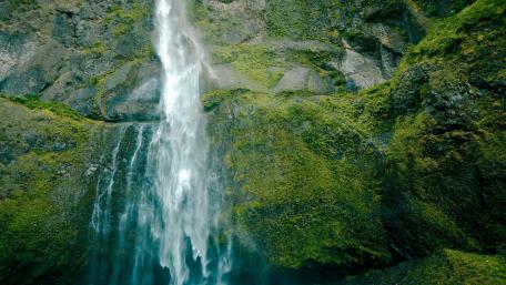 Majestic Waterfall Surrounded by Lush Greenery wallpaper