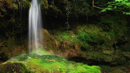 Serenity of Waterfall in Lush Greenery wallpaper