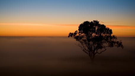Foggy sunset photography wallpaper