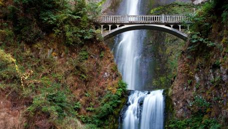 Benson Footbridge, Mt. Hood National Forest wallpaper