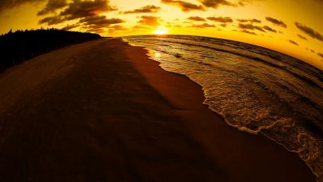 Golden Sunset by the Shoreline wallpaper
