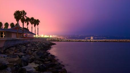 Serene Coastal Dusk View with Palm Trees and Lights wallpaper