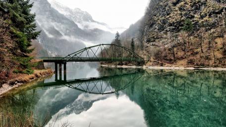 Serene Reflections of Nature's Beauty wallpaper