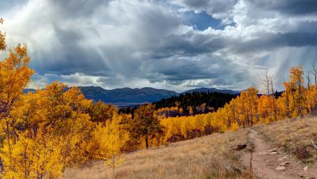 Autumn Serenity in Nature's Embrace wallpaper