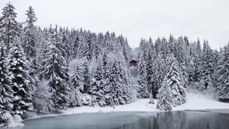 Winter Wonderland Retreat in the Forest wallpaper