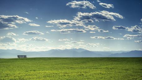 Serene Bench Overlooking Vast Green Fields wallpaper