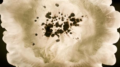 Ethereal Abstract Merging Elements of Light and Darkness wallpaper