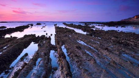 Serene Pink Sky Over Tranquil Shoreline wallpaper