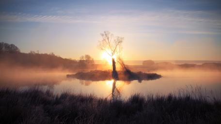 Serene Morning Reflection in Misty Sunrise wallpaper
