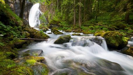 Majestic Waterfall in Lush Wilderness wallpaper