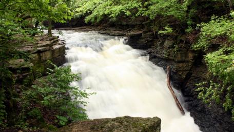 Serene Waterfall Amidst Lush Greenery wallpaper