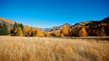 Queenstown at fall wallpaper