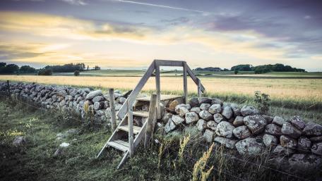 Serene Rural Landscape with Wooden Steps wallpaper