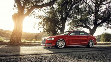 Elegant Audi A4 Surrounded by Nature's Beauty wallpaper