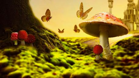Enchanting Dreamland with Mushrooms and Butterflies wallpaper