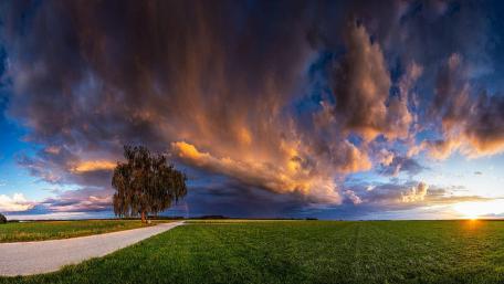 Solitary Elegance in a Vast Landscape wallpaper