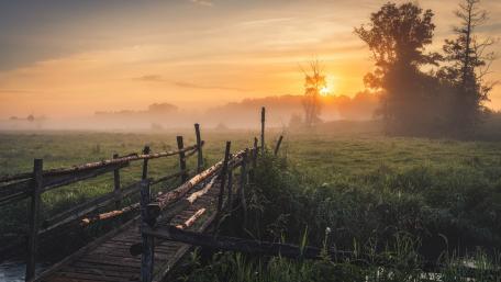 Misty Sunrise Over a Wooden Bridge wallpaper