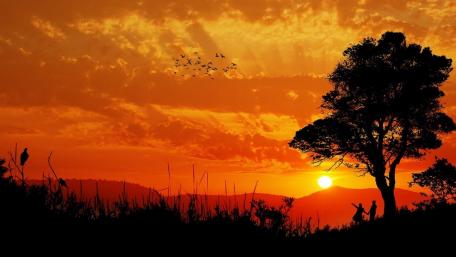 Enchanting Sunset Silhouette of Love wallpaper
