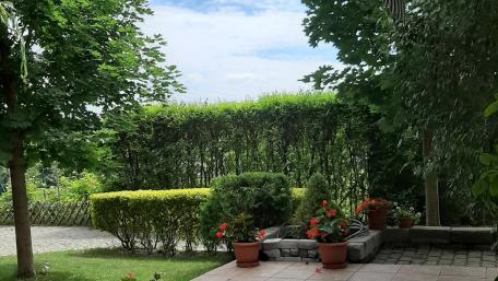 Serene Garden View with Lush Greenery and Vibrant Flowers wallpaper