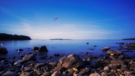 Serene Blue Horizon by the Shore wallpaper