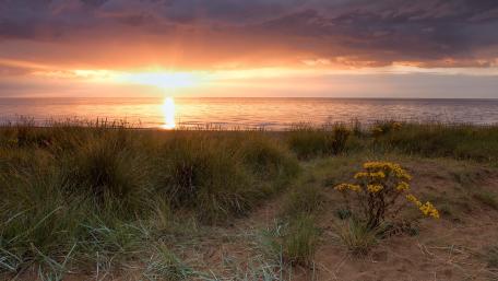 Serene Sunset Over Calm Sea and Grasslands wallpaper