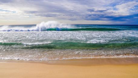 Tranquil Waves and Sandy Shore wallpaper