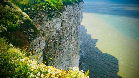 Majestic Coastal Cliffs Overlooking Serene Waters wallpaper