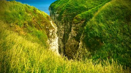 Majestic Ravine Surrounded by Lush Greenery wallpaper