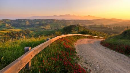 Serene Sunset Over a Winding Dirt Road in Nature wallpaper