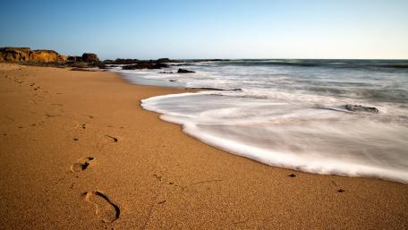 Serene Beach Footprints in the Sand wallpaper